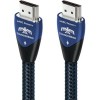 Кабель AudioQuest HDMI-HDMI ThunderBird eARC 1 м (оплетка)